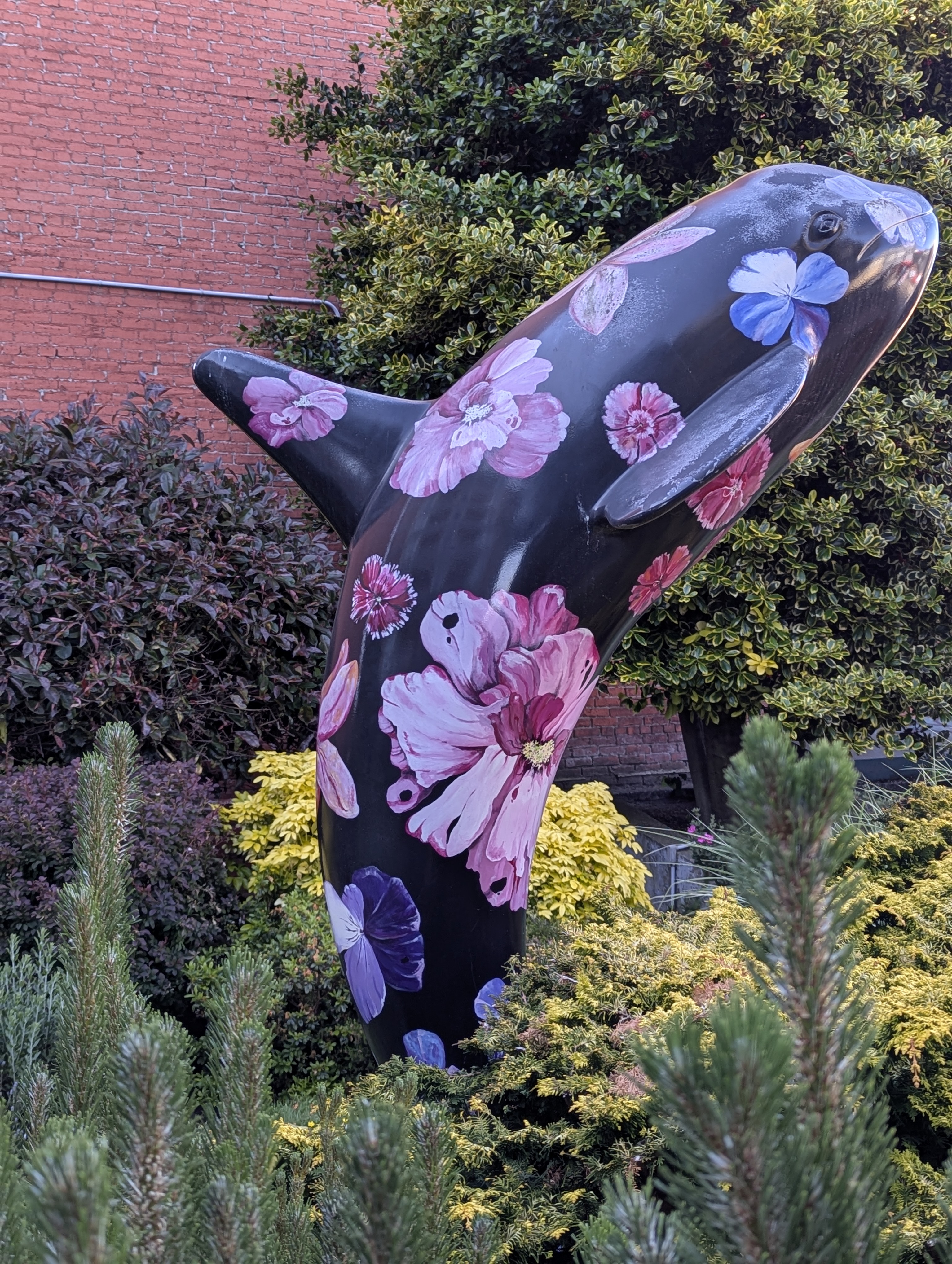 Birthday Trip to Canada, Victoria, Vancouver Island, British Columbia